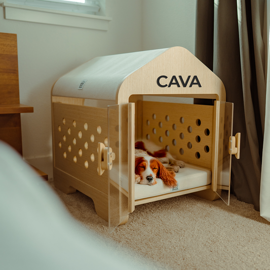 In-Depth Review: Top 4 Modern Dog Houses of 2025.