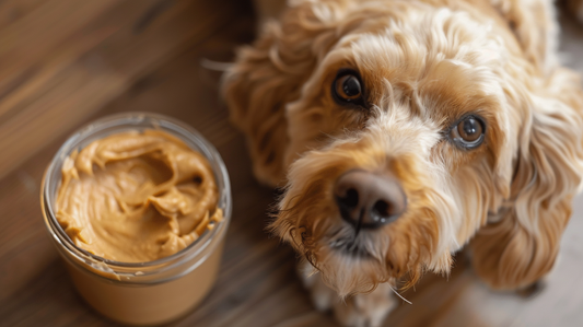 Dogs Have Almond Butter
