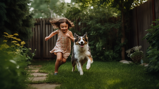 The Ultimate Guide to Dog Care: Tips for Keeping Your Furry Friend Happy and Healthy