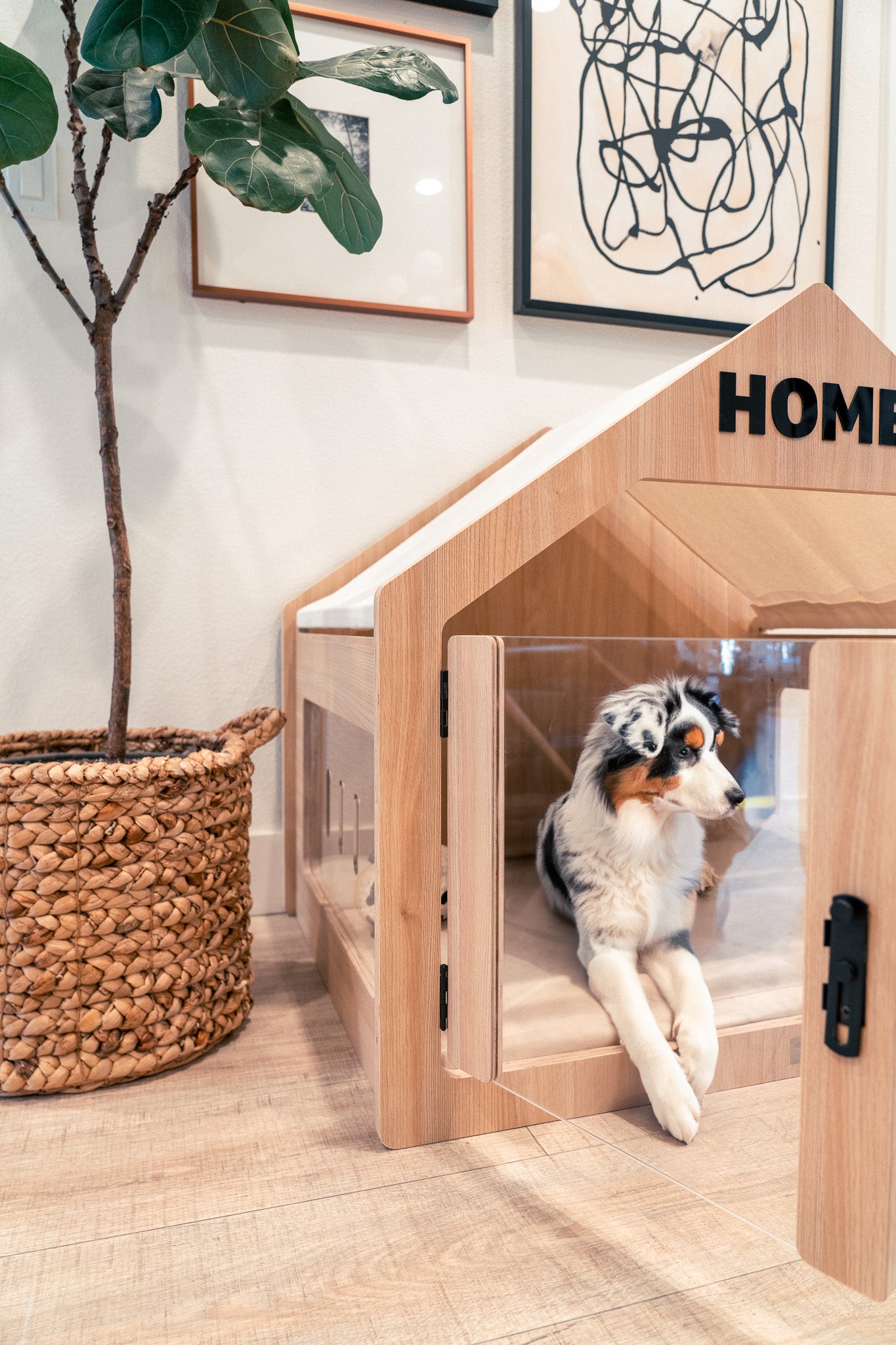 An Australian Shepherd in the wooffy dog house