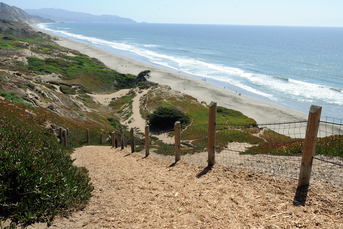 Fort Funston — from Wooffy's Bay Area dog guide (photo: Tim Adams, CC BY 3.0, Wikimedia Commons)