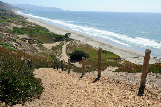 Fort Funston — from Wooffy's Bay Area dog guide (photo: Tim Adams, CC BY 3.0, Wikimedia Commons)