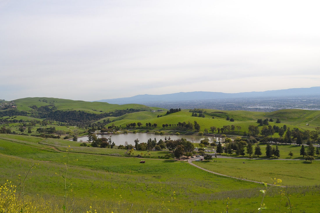 Ed Levin Dog Park (Ed R. Levin County Park) — from Wooffy's Bay Area dog guide (photo: Oleg Alexandrov, CC BY-SA 3.0, Wikimedia Commons)