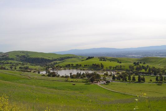 Ed Levin Dog Park (Ed R. Levin County Park) — from Wooffy's Bay Area dog guide (photo: Oleg Alexandrov, CC BY-SA 3.0, Wikimedia Commons)