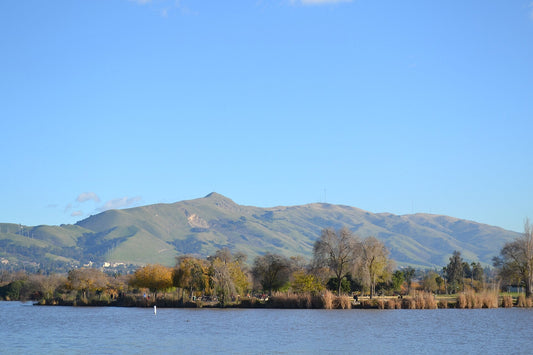 Mission Peak Regional Preserve — from Wooffy's Bay Area dog guide (photo: Oleg Alexandrov, CC BY-SA 3.0, Wikimedia Commons)