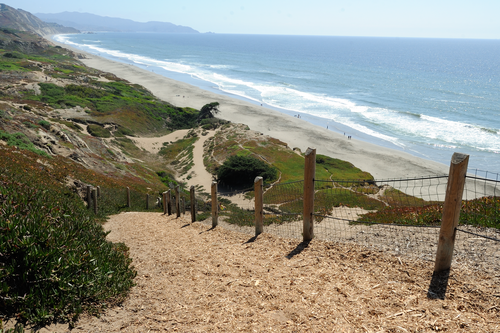 Fort Funston — from Wooffy's Bay Area dog guide (photo: Tim Adams, CC BY 3.0, Wikimedia Commons)