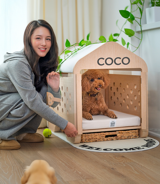 Redefining the Indoor Dog House as Part of the Modern Home