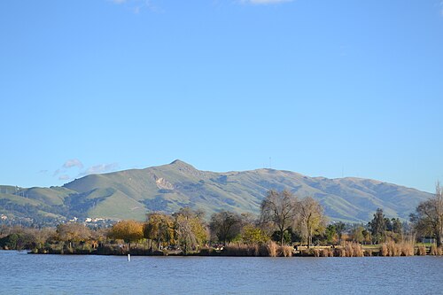 Mission Peak Regional Preserve — from Wooffy's Bay Area dog guide (photo: Oleg Alexandrov, CC BY-SA 3.0, Wikimedia Commons)