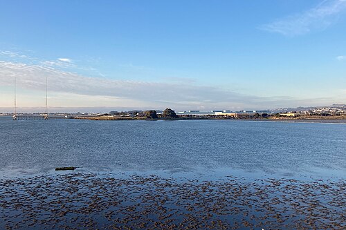 Point Isabel Regional Shoreline — from Wooffy's Bay Area dog guide (photo: Clyde Charles Brown, CC BY-SA 4.0, Wikimedia Commons)
