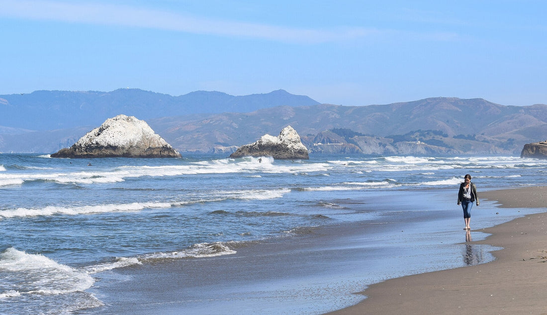 Ocean Beach — from Wooffy's Bay Area dog guide (photo: Radomianin, CC BY-SA 4.0, Wikimedia Commons)