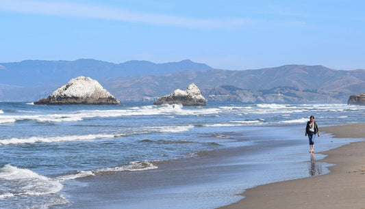 Ocean Beach — from Wooffy's Bay Area dog guide (photo: Radomianin, CC BY-SA 4.0, Wikimedia Commons)