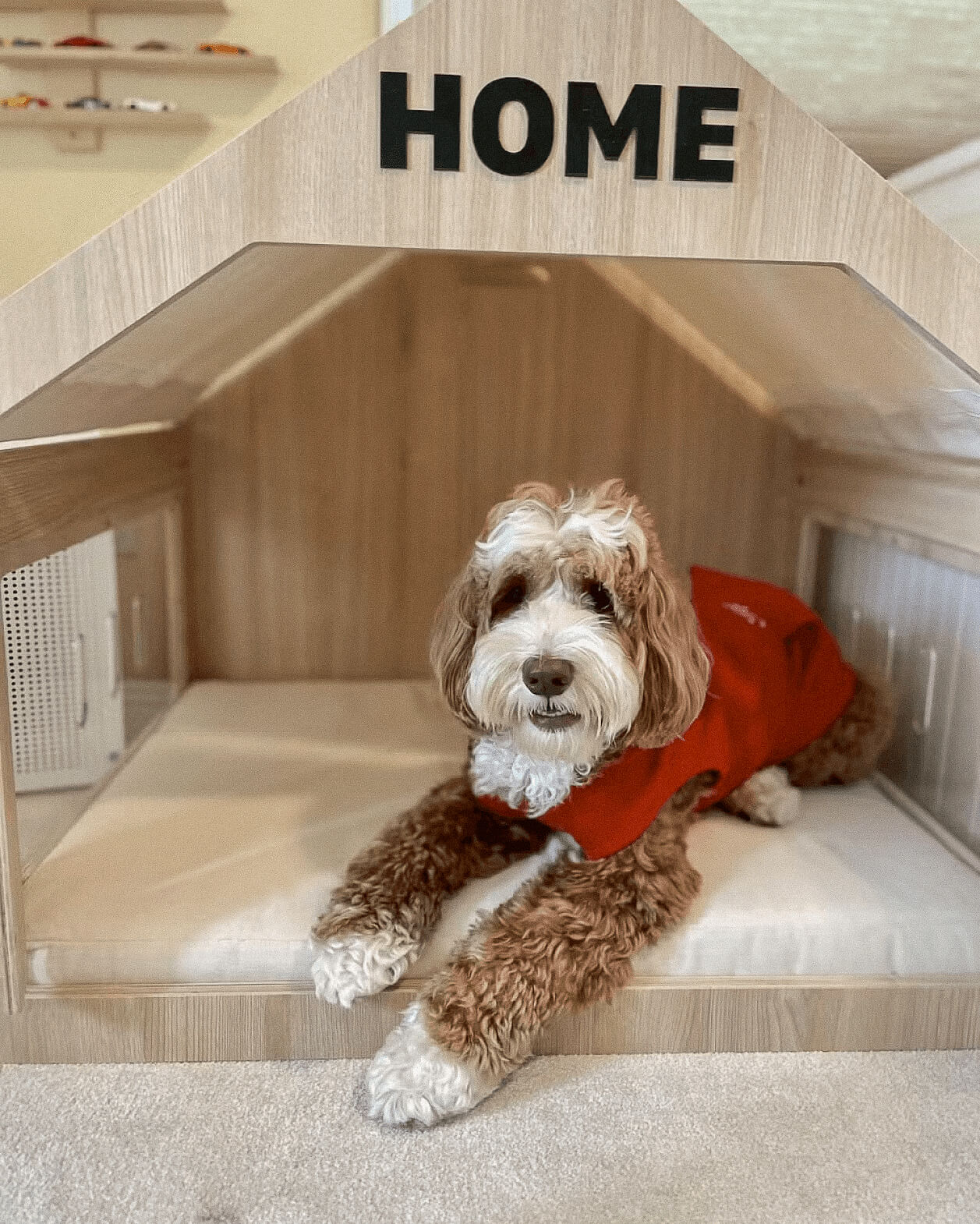 A puppy in the beautuful Wooffy modern dog house