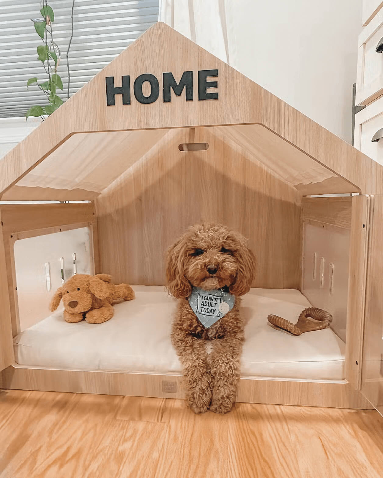 A mini goldendoodle in the Wooffy modern dog house